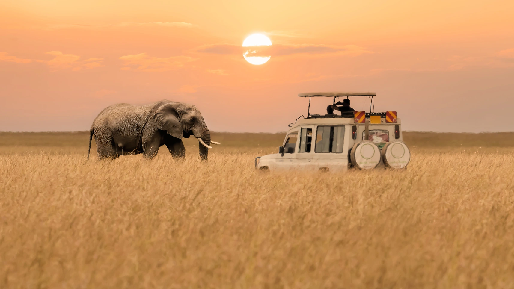 Africa safari