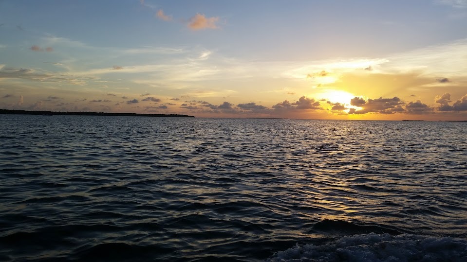 Miami Getaway & A Quick Cruise to Bimini Island: The Perfect Escape