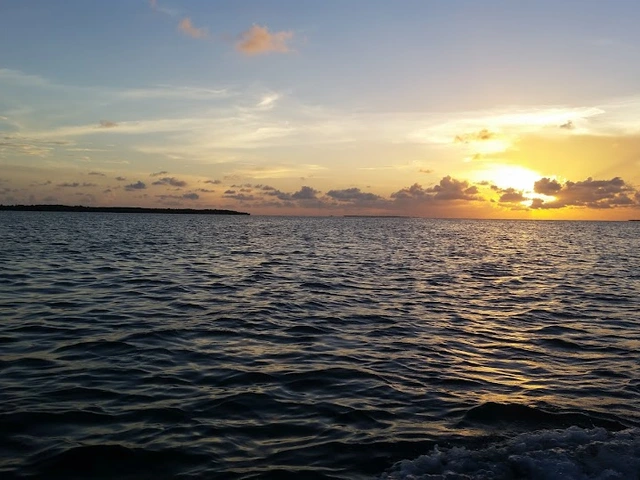 Miami Getaway & A Quick Cruise to Bimini Island: The Perfect Escape