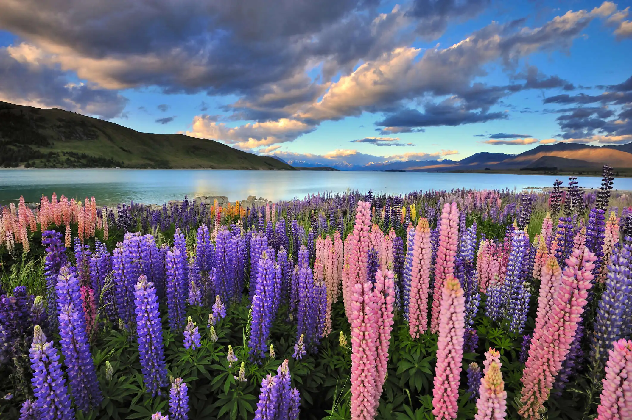 14 Days Exploring the Best of New Zealand's North and South Islands