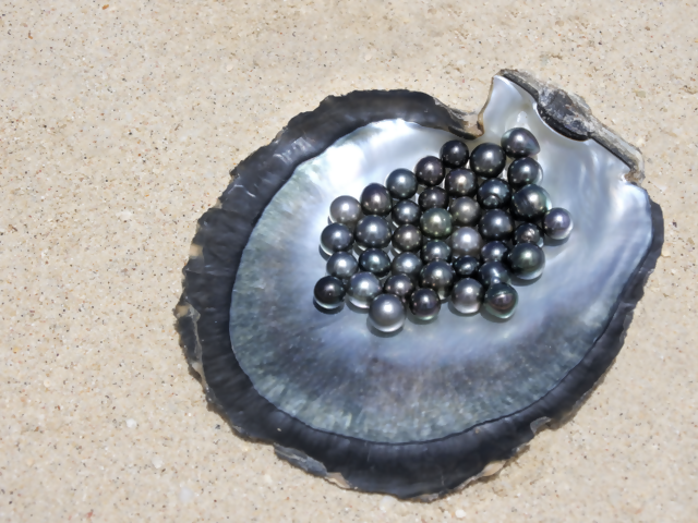 Polynesian Pearls: The Most Romantic Souvenir from the World’s Most Romantic Travel Destination
