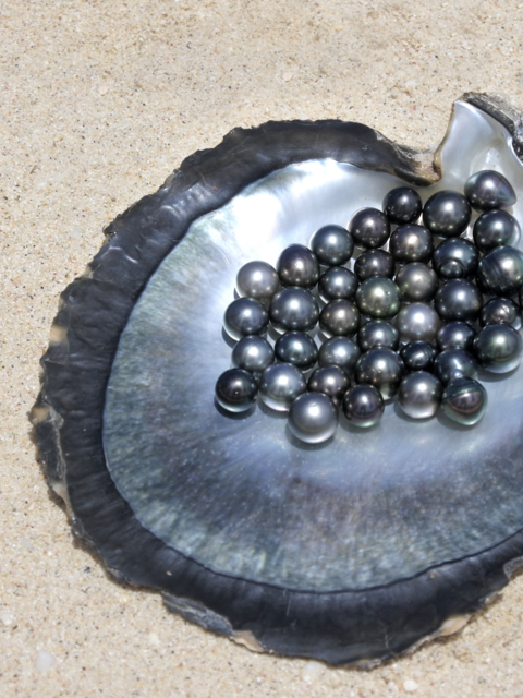 Polynesian Pearls: The Most Romantic Souvenir from the World’s Most Romantic Travel Destination