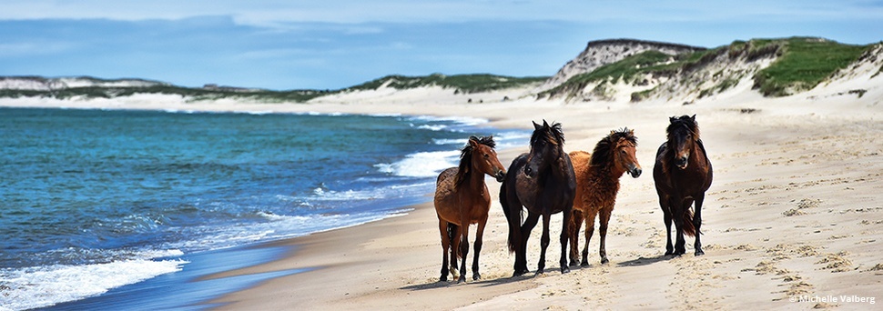 Atlantic Canada Explorer