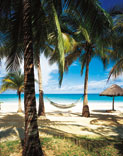 Julia Mete Chiarantano  julia@mstravelconcierge.com  ext 300