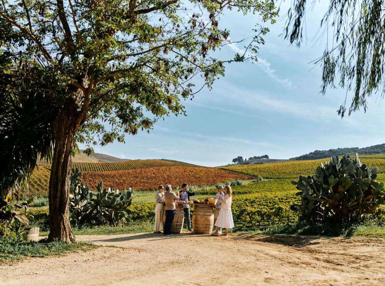 Up to a $600 Shipboard Credit per Suite