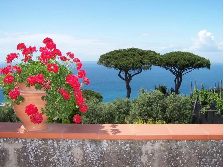 Italy Painting & Drawing Retreat with Michelle Miller