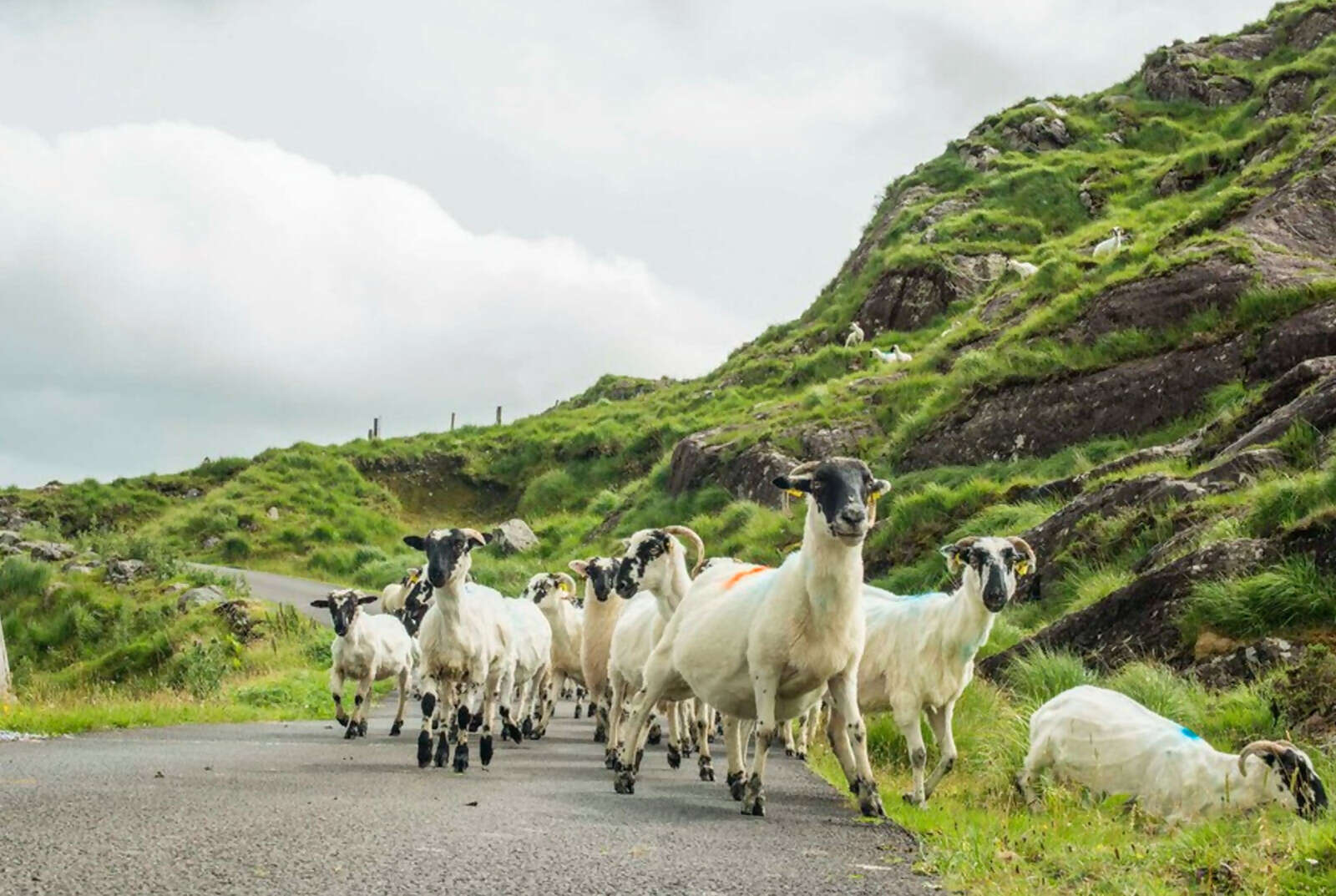 Book a Summer 2026 escape & save $50 Off per person with Exotik Journeys