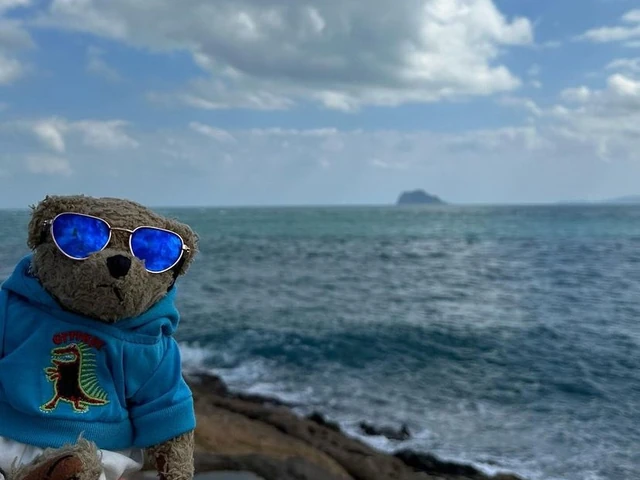 Office Closed for Thanksgiving Holiday