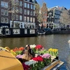 Top Souvenirs from a Springtime Trip to the Netherlands