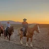 Dude Ranch