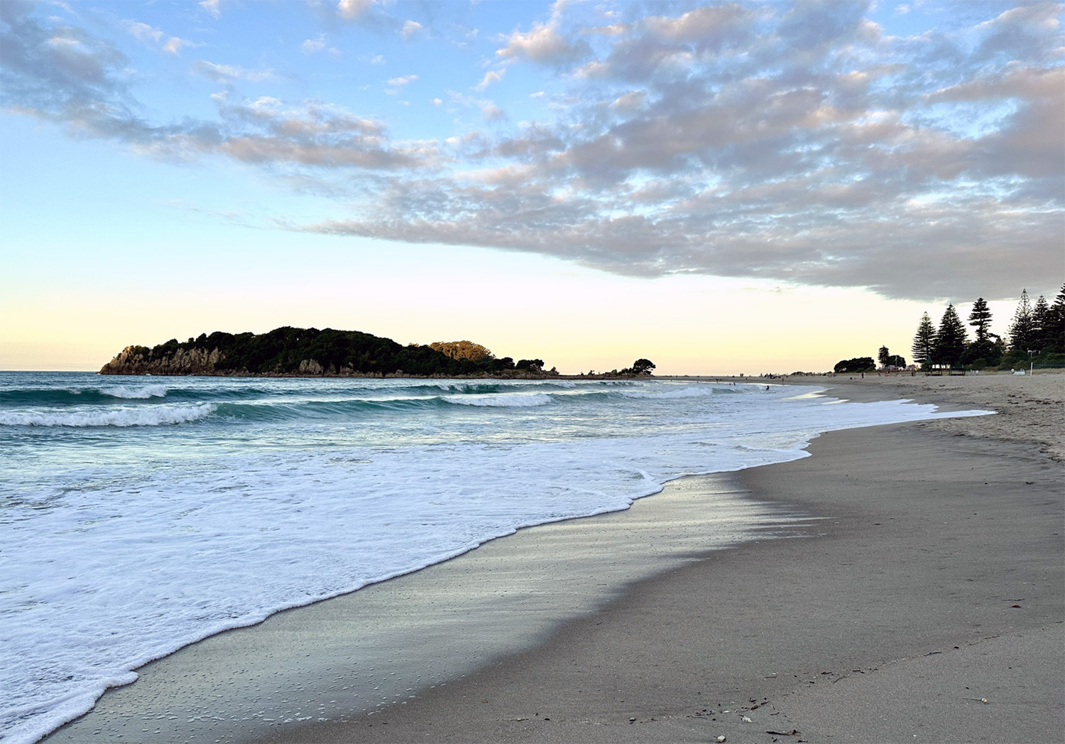 new-zealand02.jpg