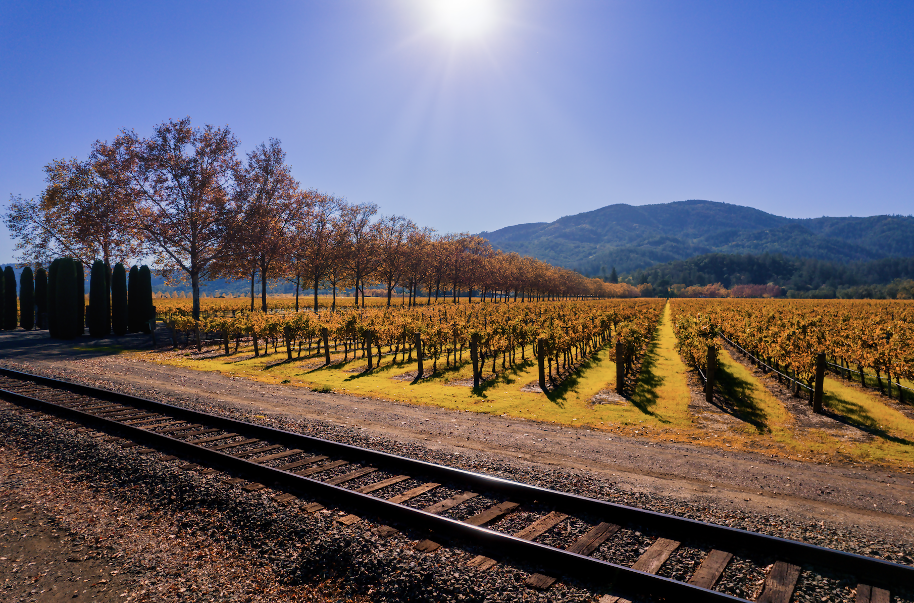 All Aboard a Tasting Train!