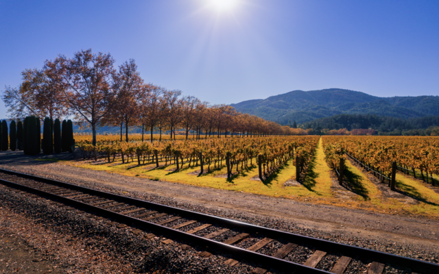 All Aboard a Tasting Train!