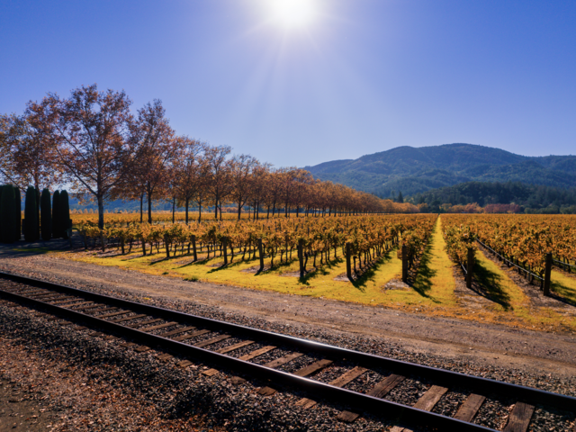 All Aboard a Tasting Train!