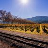 All Aboard a Tasting Train!