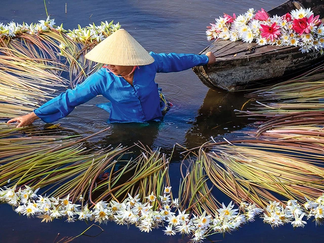 Charms of the Mekong - 2024
