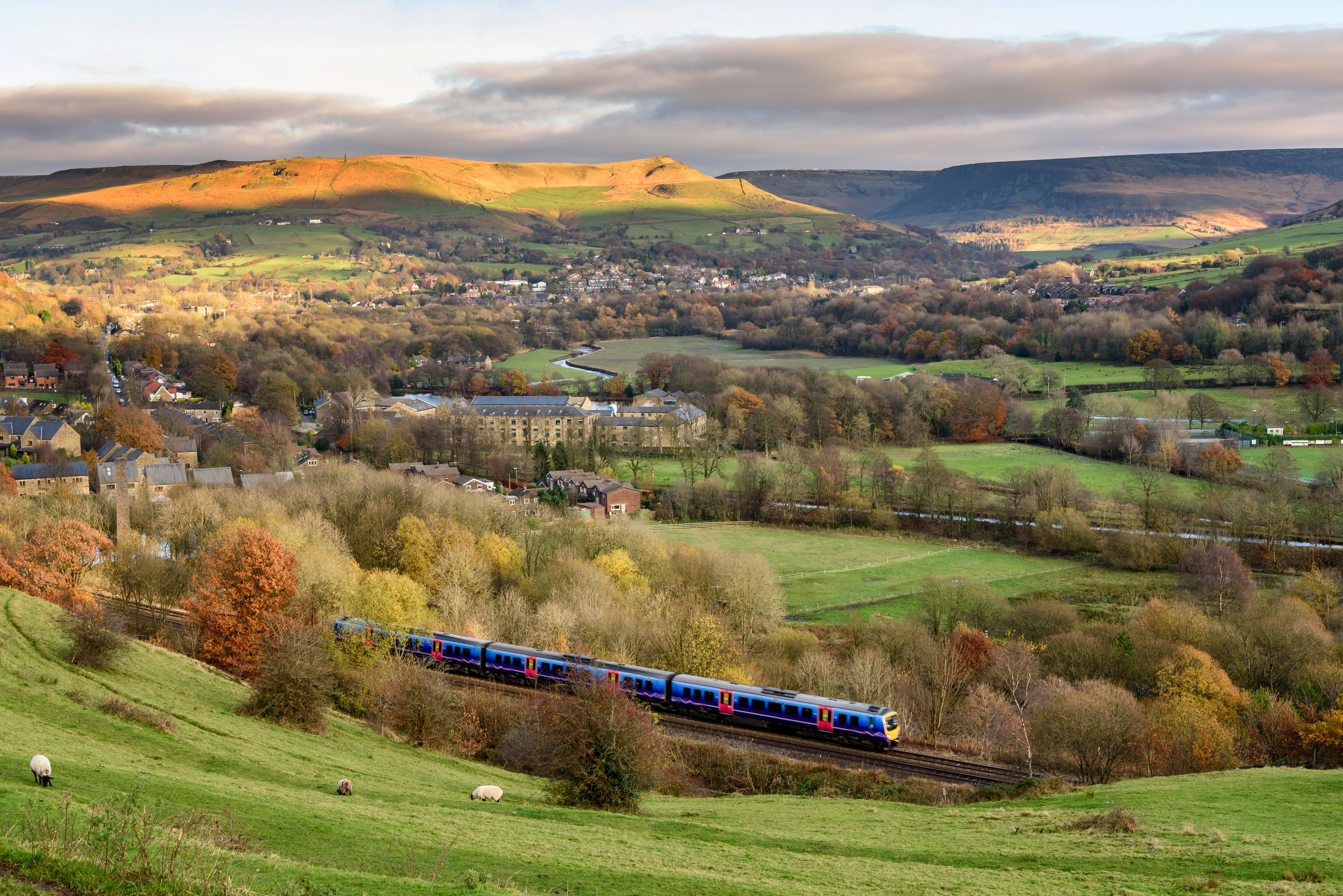 Sustainable Sips - Exploring the UK Sustainably