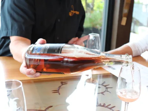 Winery Tour