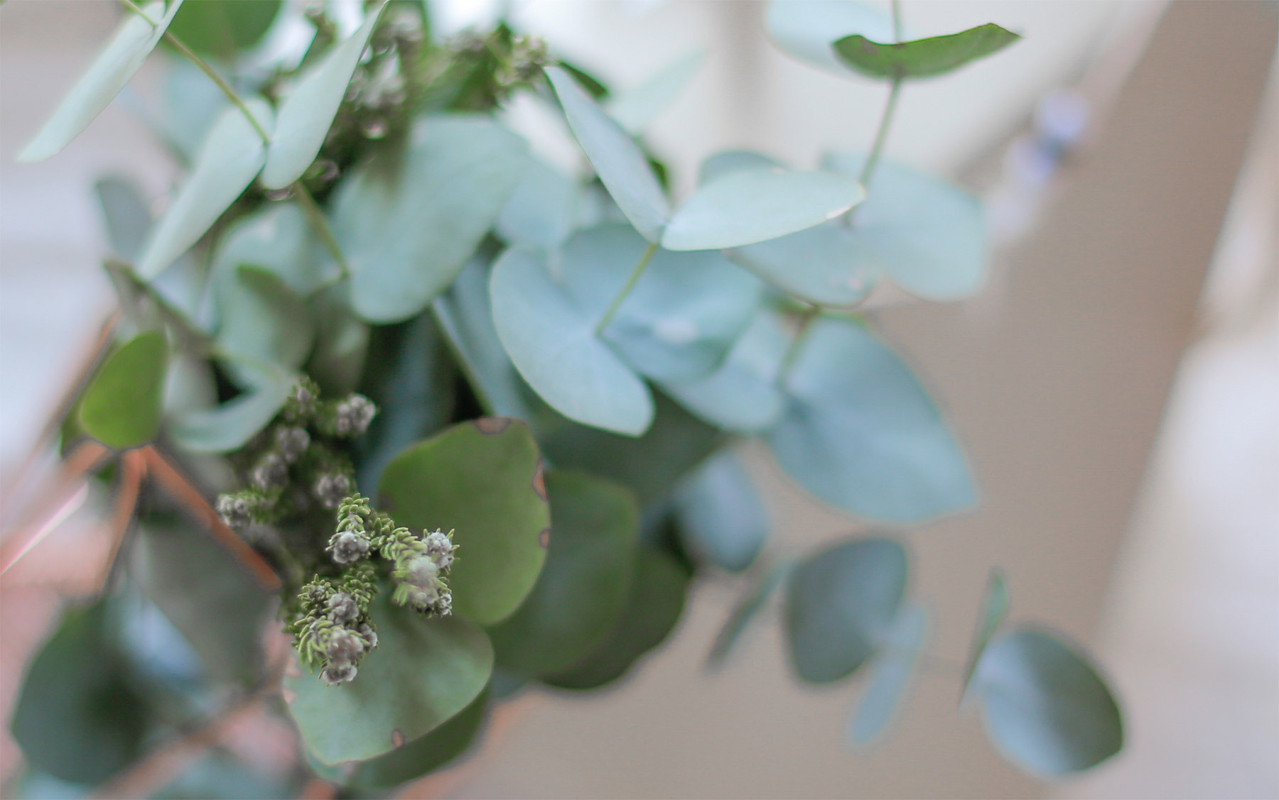 Destination Weddings