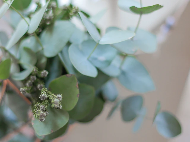 Destination Weddings