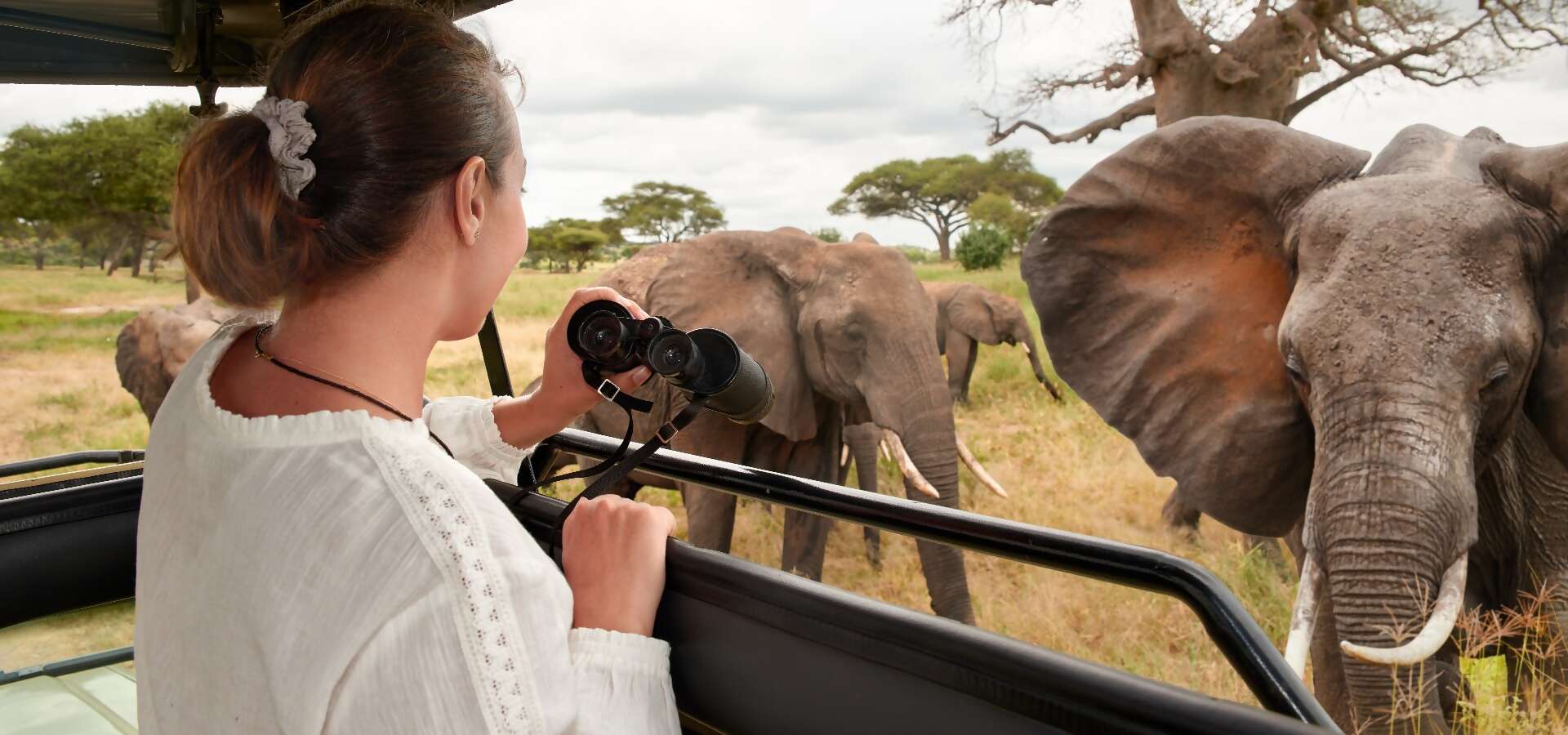 Wildlife Adventures
