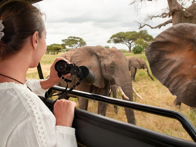 Wildlife Adventures
