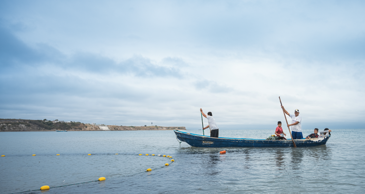 UNESCO and Relais & Châteaux to Boost Biodiversity through Cuisine