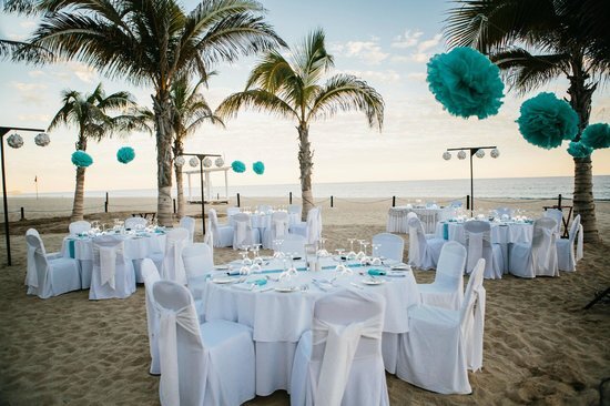 Perfect COVID Wedding in Los Cabos