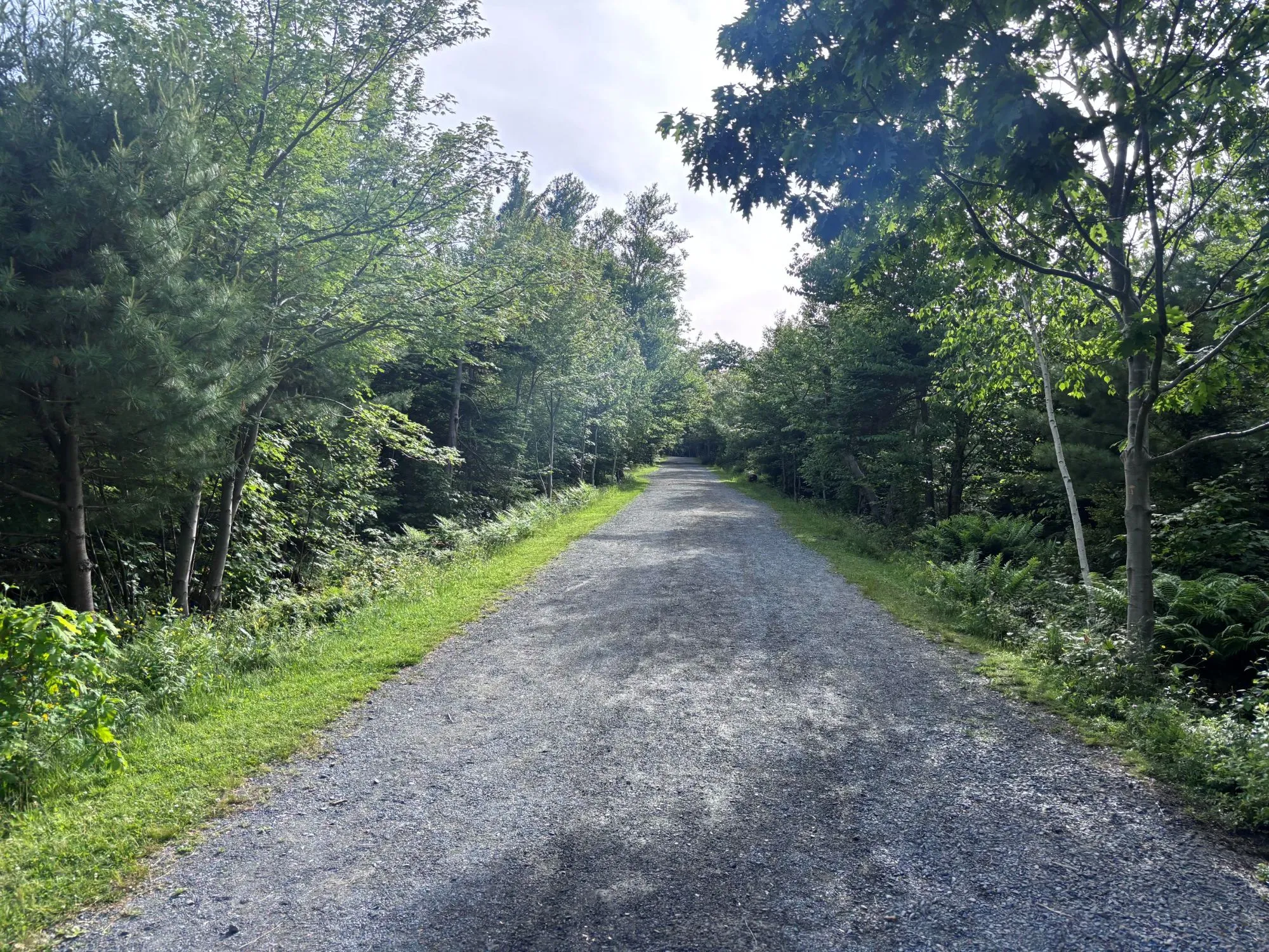 Beyond Halifax: The Growing Appeal of Atlantic Canada’s Coastal Journeys