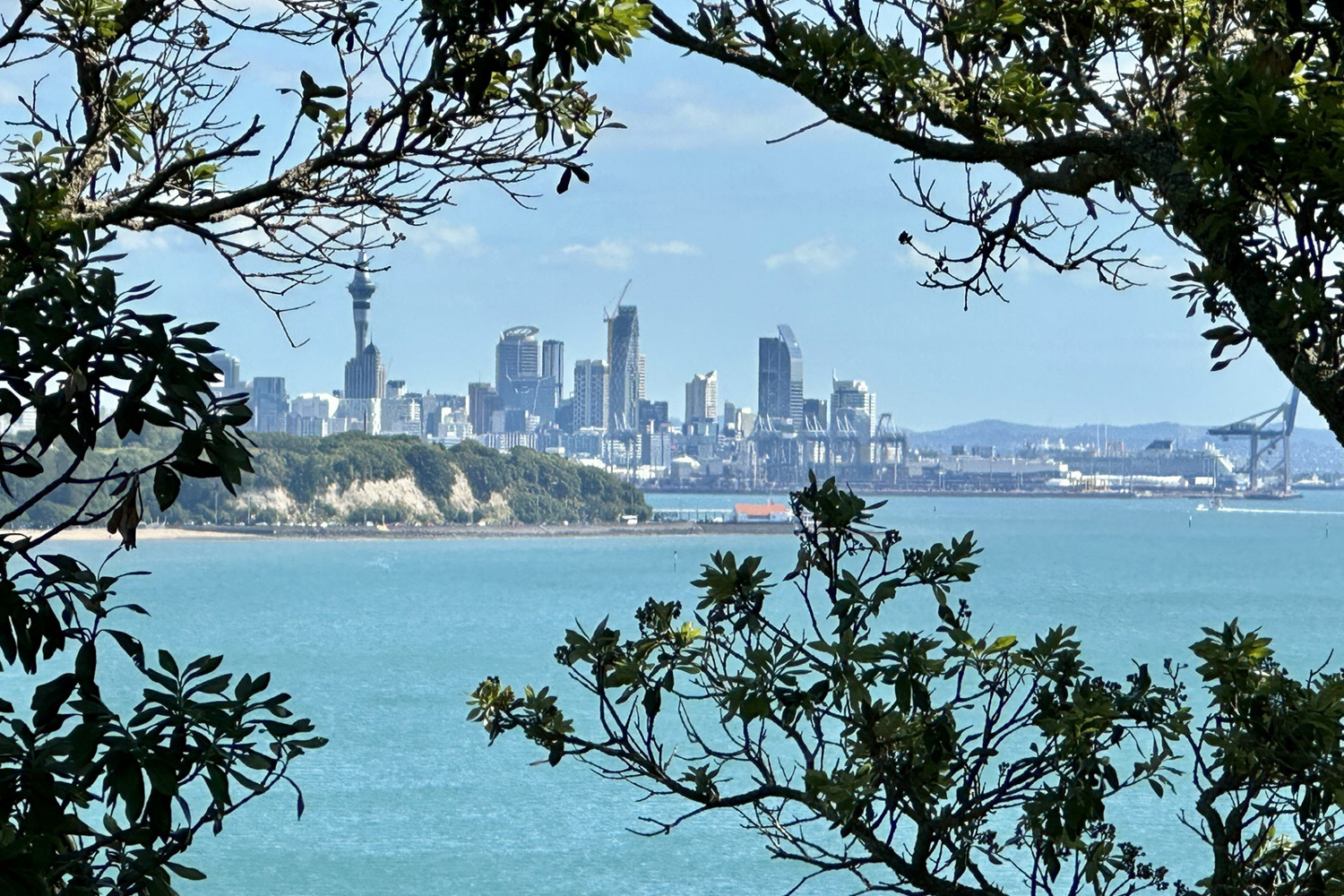 new-zealand03.jpg