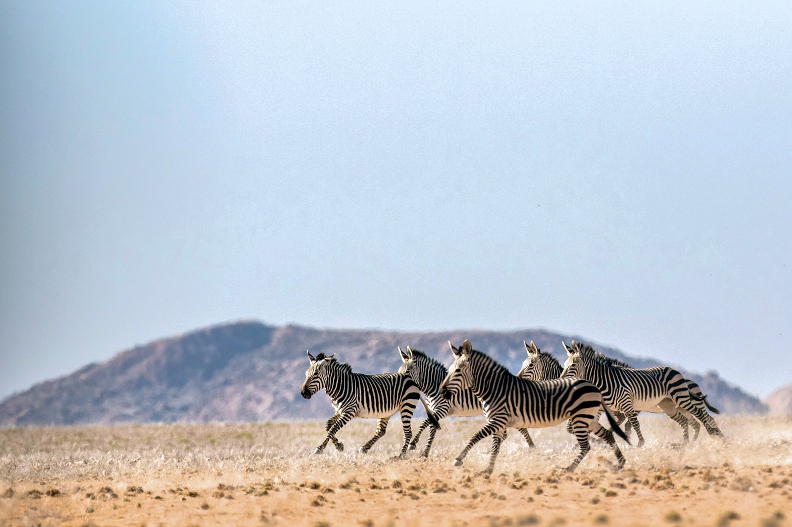 For a limited time, save up to $1,500* per couple on Collette tours