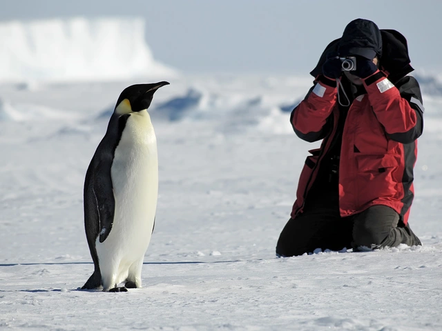 Beyond the Waves: Expedition Cruising vs. Ocean Cruising – What Sets Them Apart?