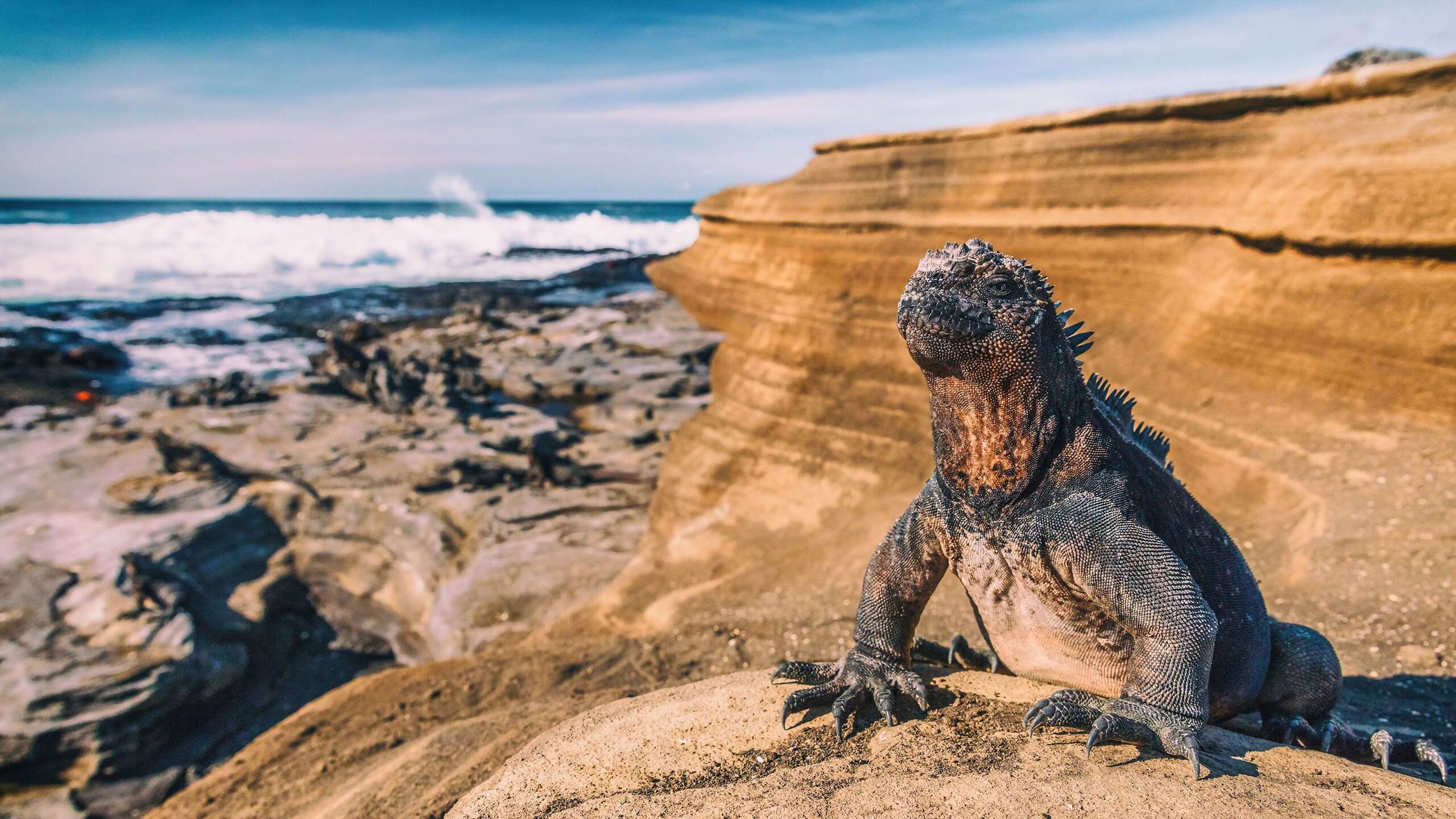 Galapagos