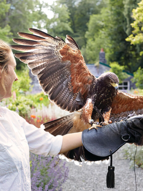 Luxury Self Driven Travel with Brendan Vacations