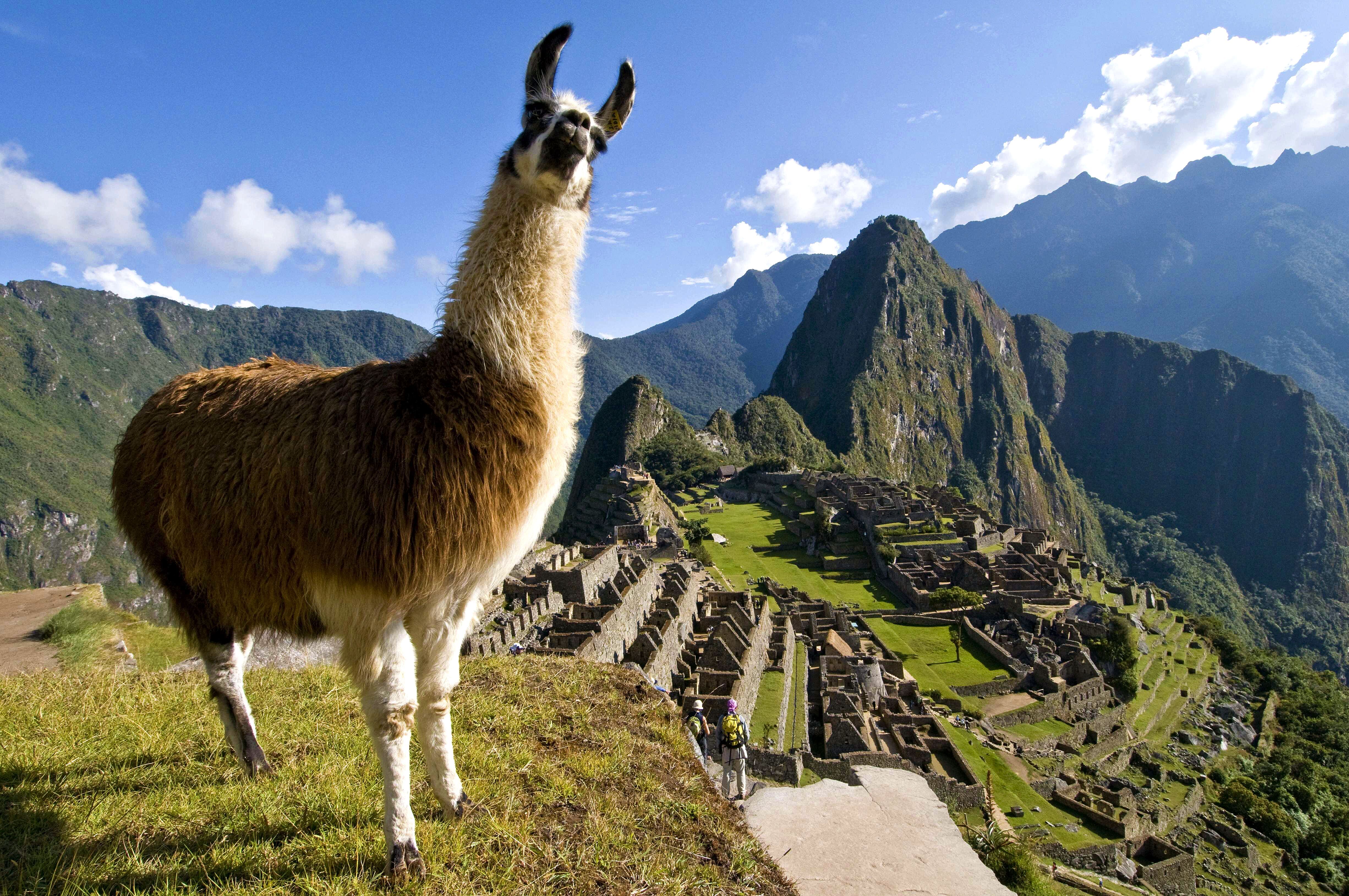 Machu Picchu