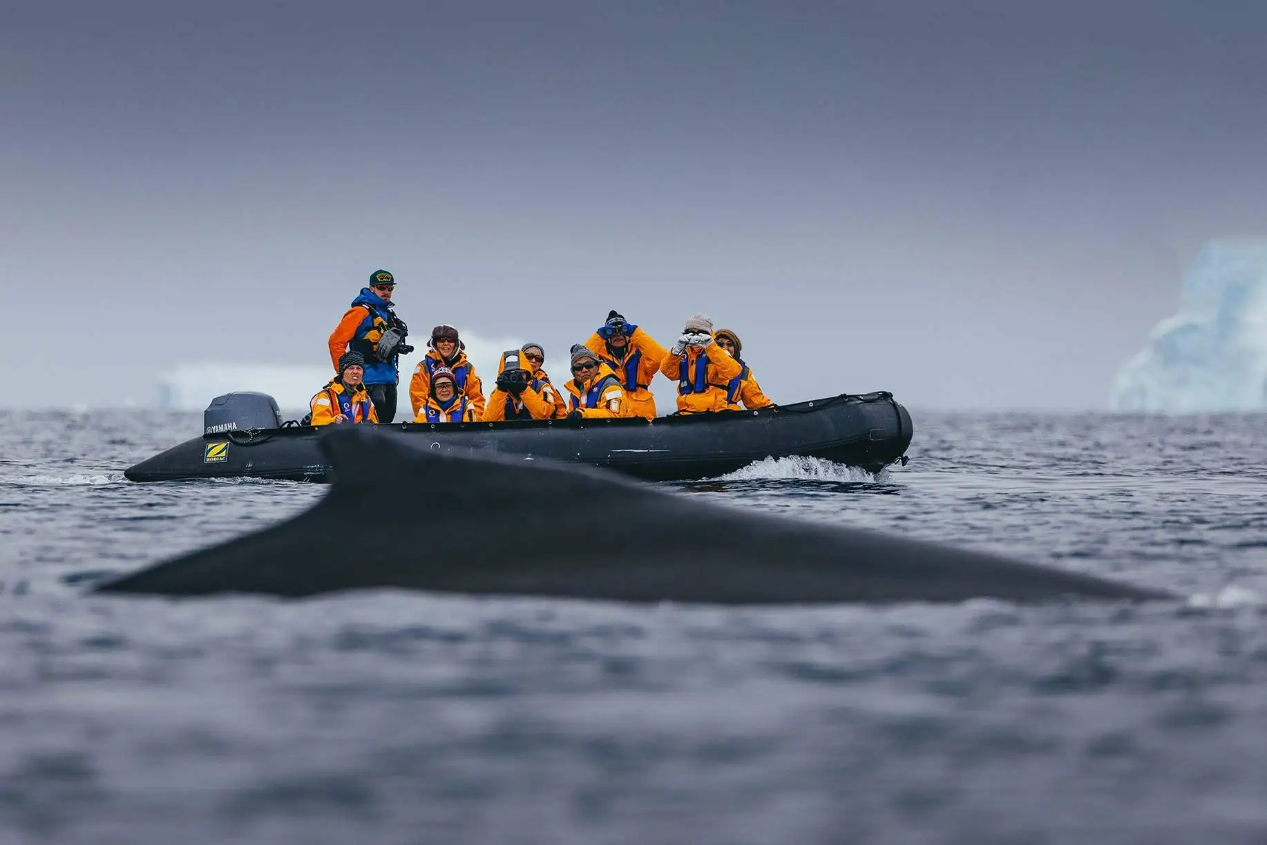 Quark Expeditions