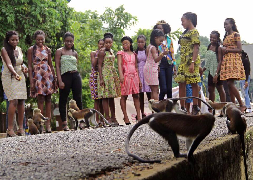 Tafi-Atome Monkey Sanctuary