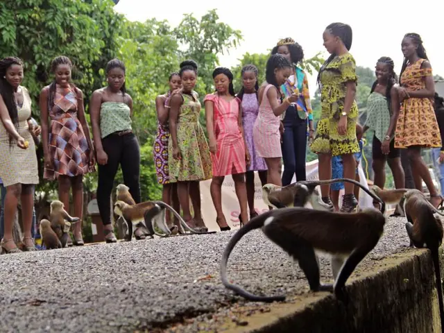 Tafi-Atome Monkey Sanctuary