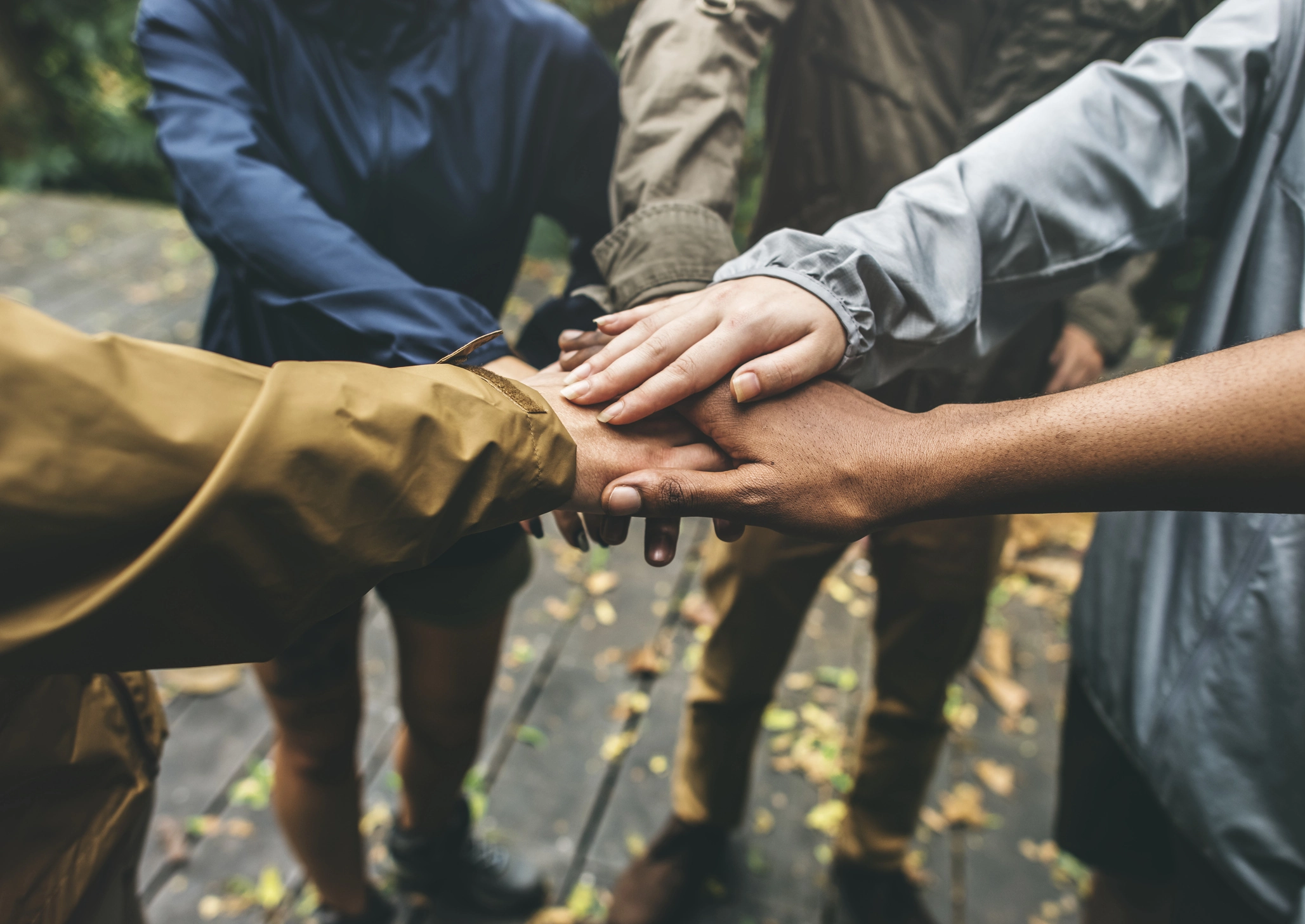 Corporate Groups