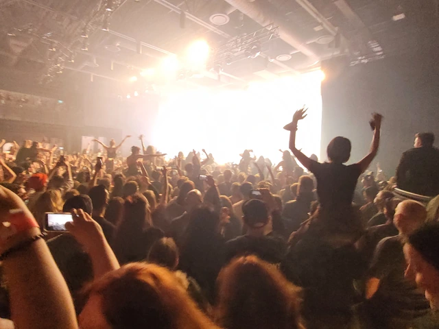 concert crowd shot.jpg