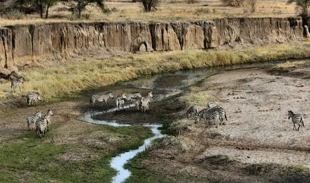 DAY 7: TARANGIRE NATIONAL PARK