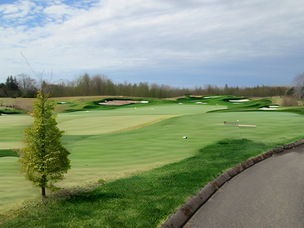 A golf course with a tree and a road

AI-generated content may be incorrect.
