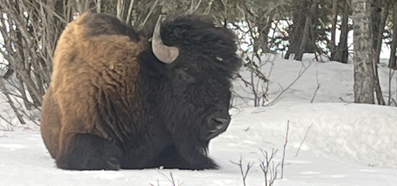 Craig White's Journey from Yukon Gold Rush to Alaska's Wild Coast