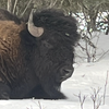 Craig White's Journey from Yukon Gold Rush to Alaska's Wild Coast