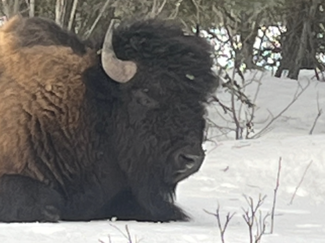 Craig White's Journey from Yukon Gold Rush to Alaska's Wild Coast