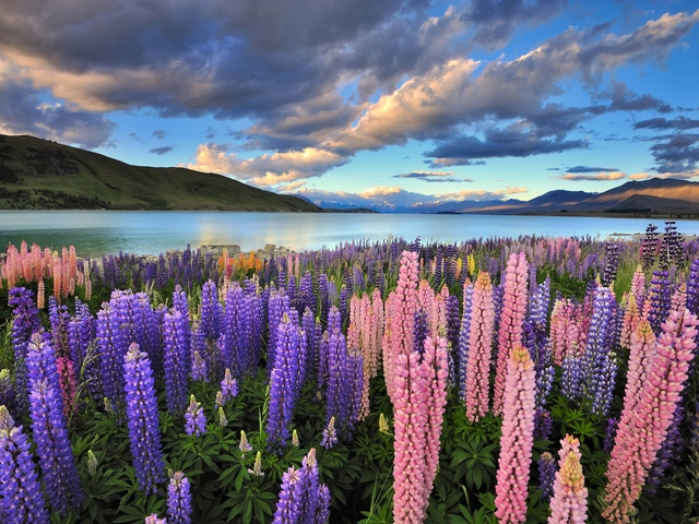 Your New Zealand Adventure! 2024