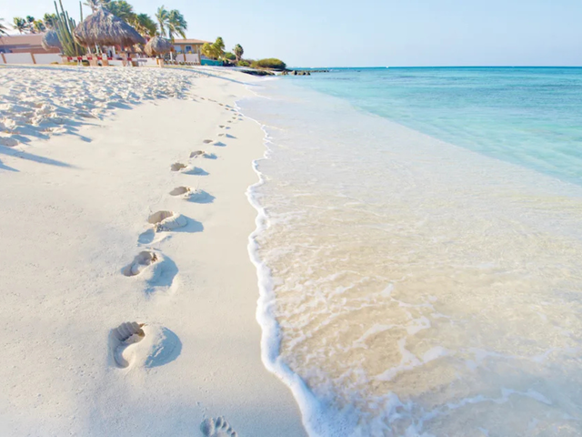Go All In with Sunwing: Your Best Summer Yet