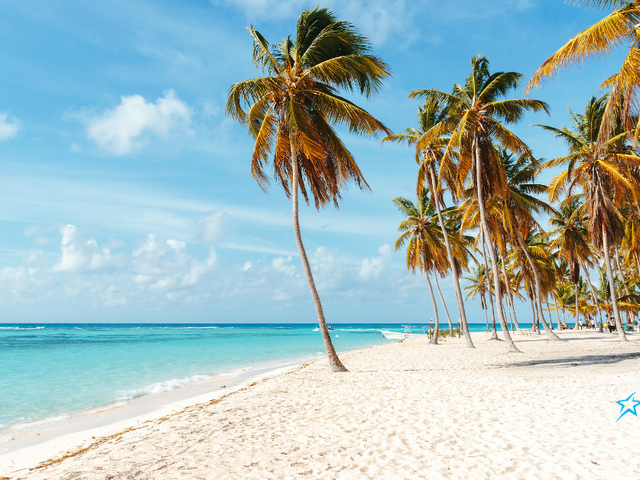 Save Up To $600 Per Couple With Transat!