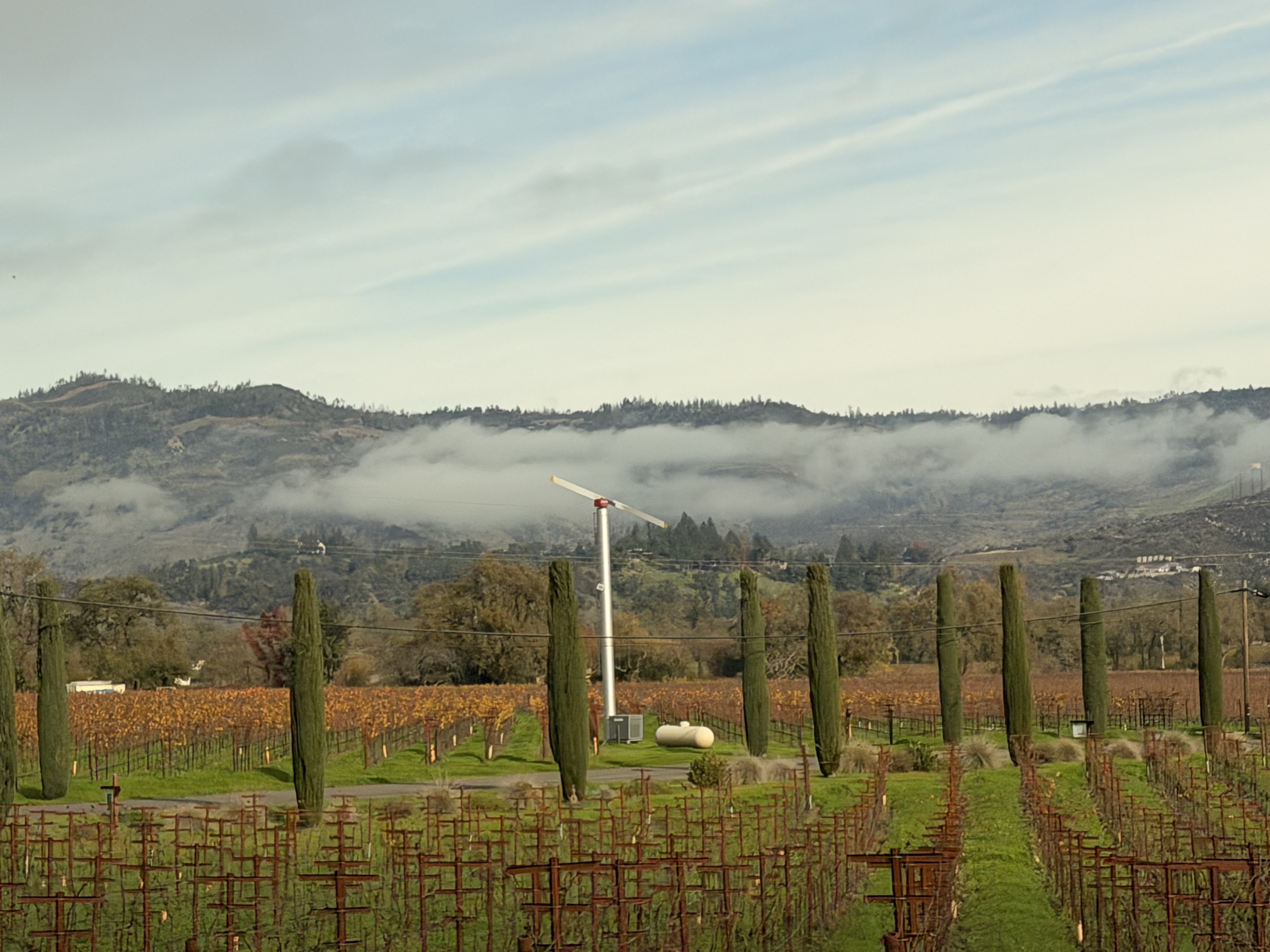 My Jaw-Dropping First Experience in Napa Valley at Carneros Resort