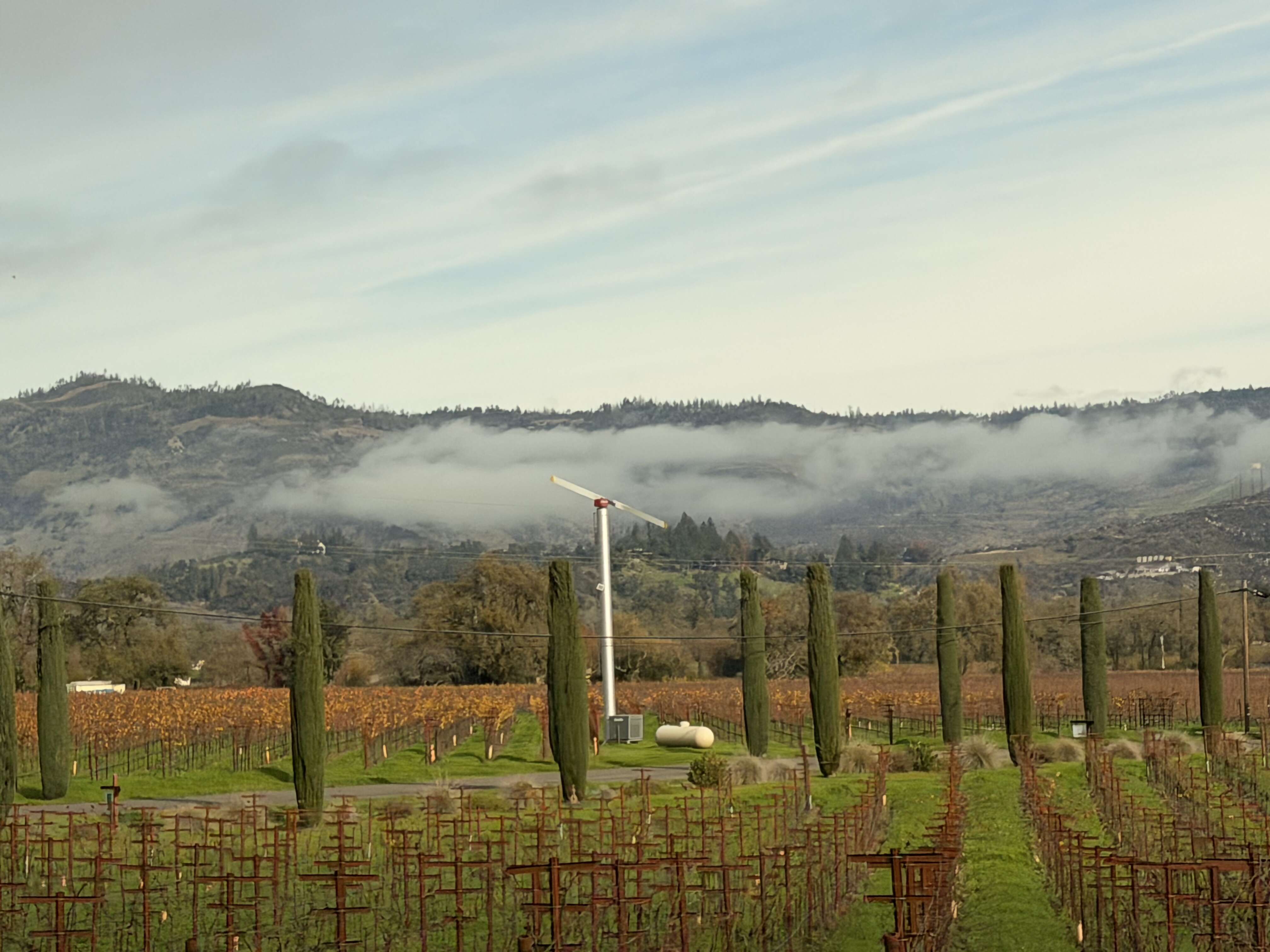 My Jaw-Dropping First Experience in Napa Valley at Carneros Resort